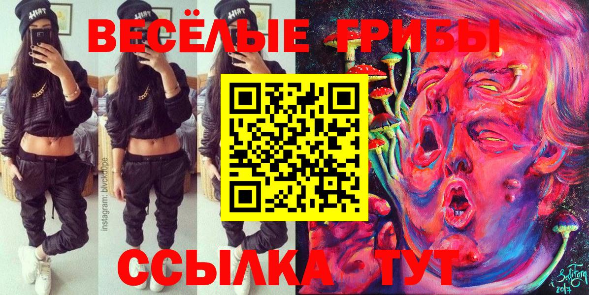 ГАШ Родники
